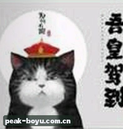 张慧